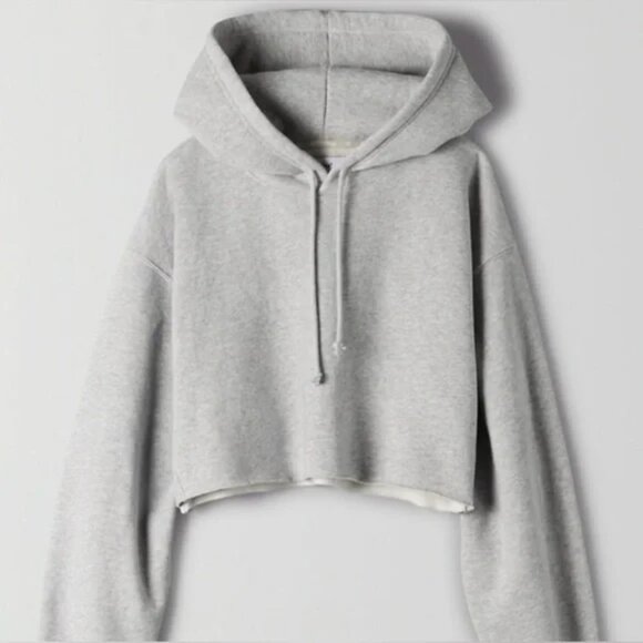 NWT TNA Light Grey Cozy Fleece Boyfriend Cropped Hoodie - Size 1 - Picture 1 of 7